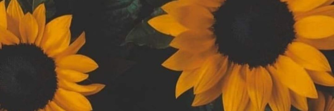 cabarretos's profile banner image