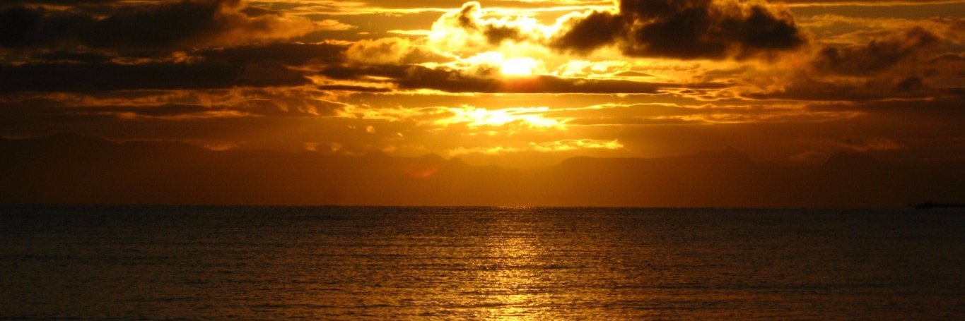 willdiaz_28's profile banner image