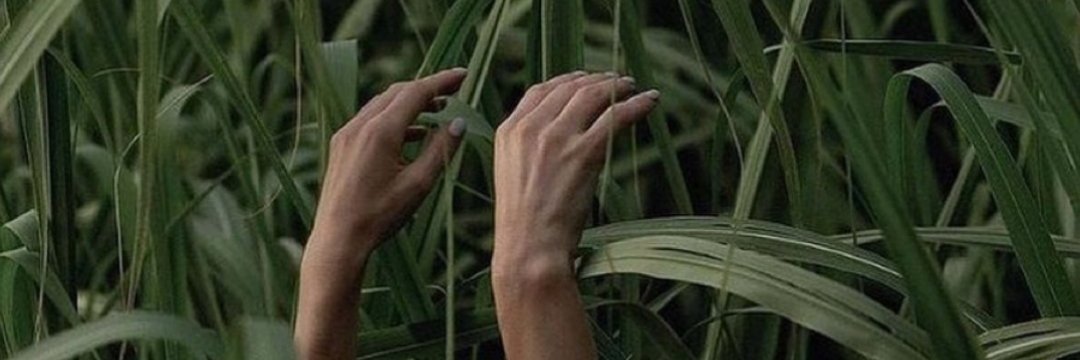 Marythehuman's profile banner image