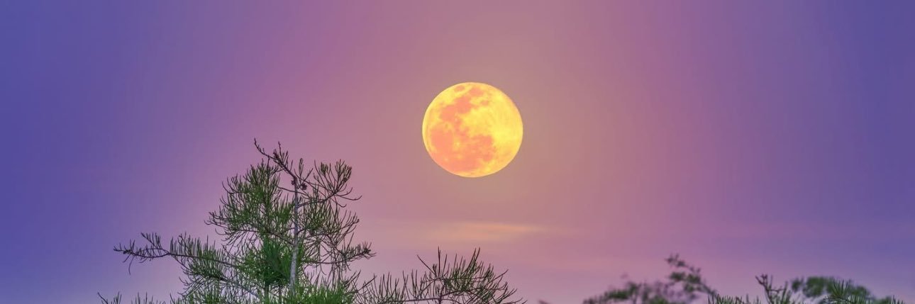 Astrronomy's profile banner image