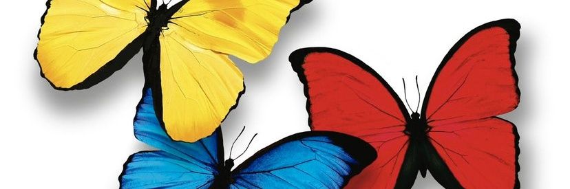 dinfo2001's profile banner image