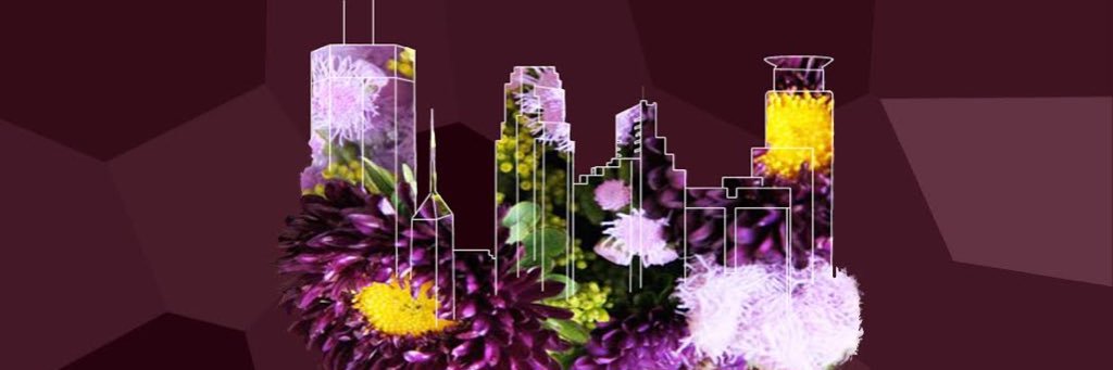 IAMMPLS's profile banner image