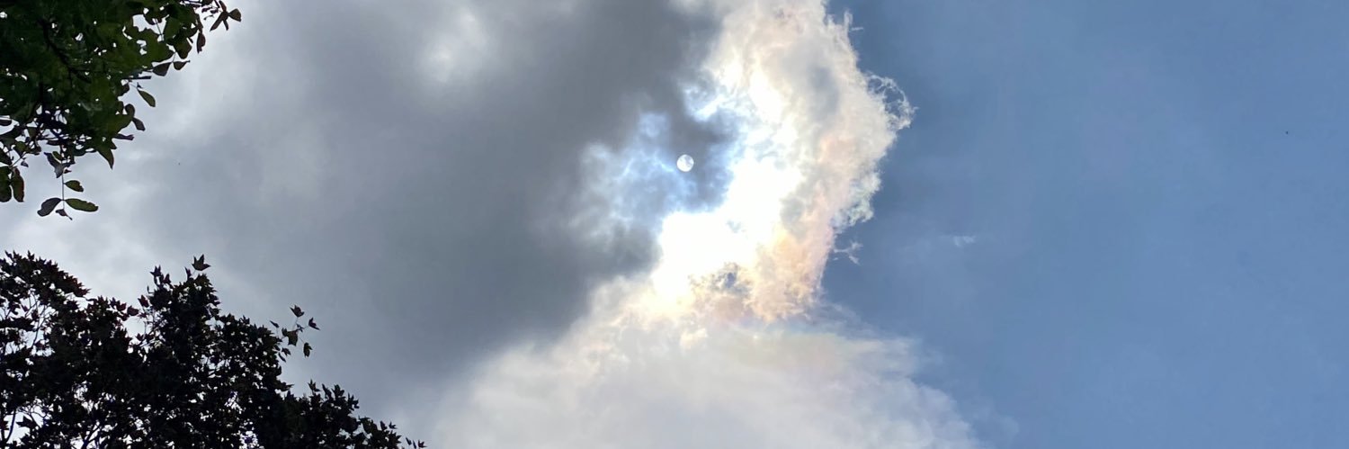 KatrinW_BILD's profile banner image