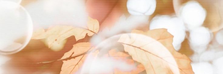 𝓜. banner