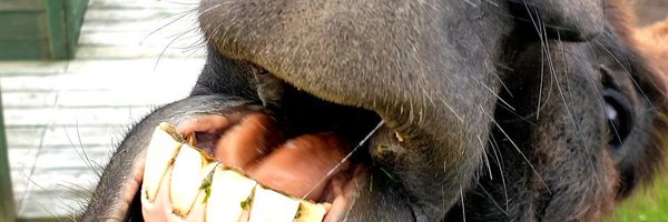 A_D_Carter Profile Banner