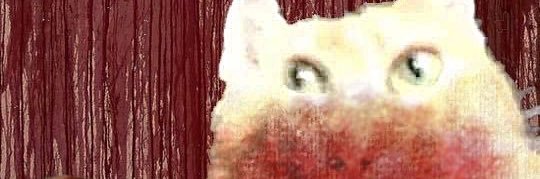 🔞Pogoᯓ★ banner