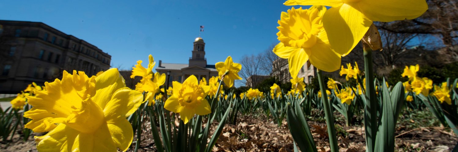 HawkeyeCaucus's profile banner image