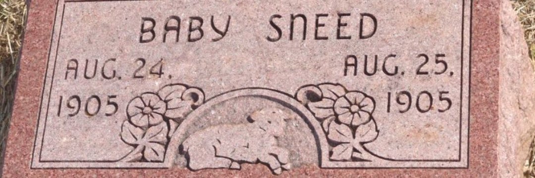Ghost of Sneed banner