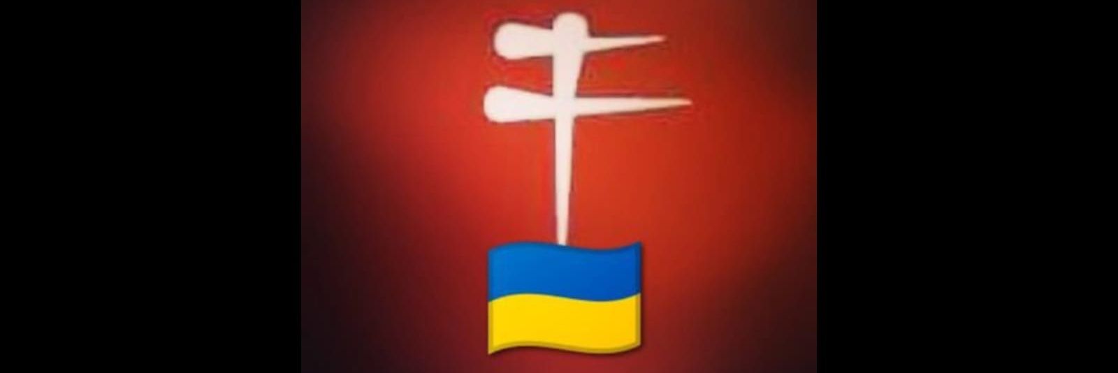 (((Franciscus)))🫐 banner