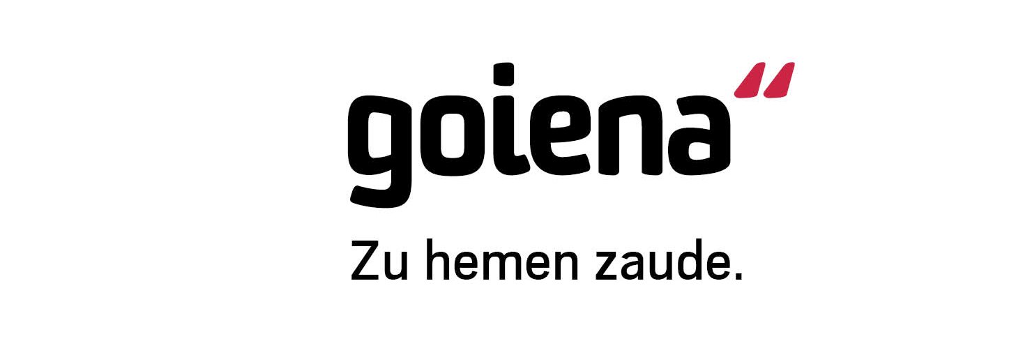 Goiena Albisteak banner