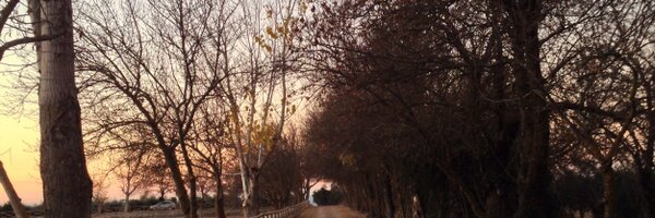 Elemoreno Profile Banner
