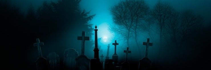 The White vision. banner