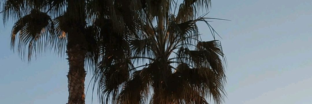 paumarco's profile banner image