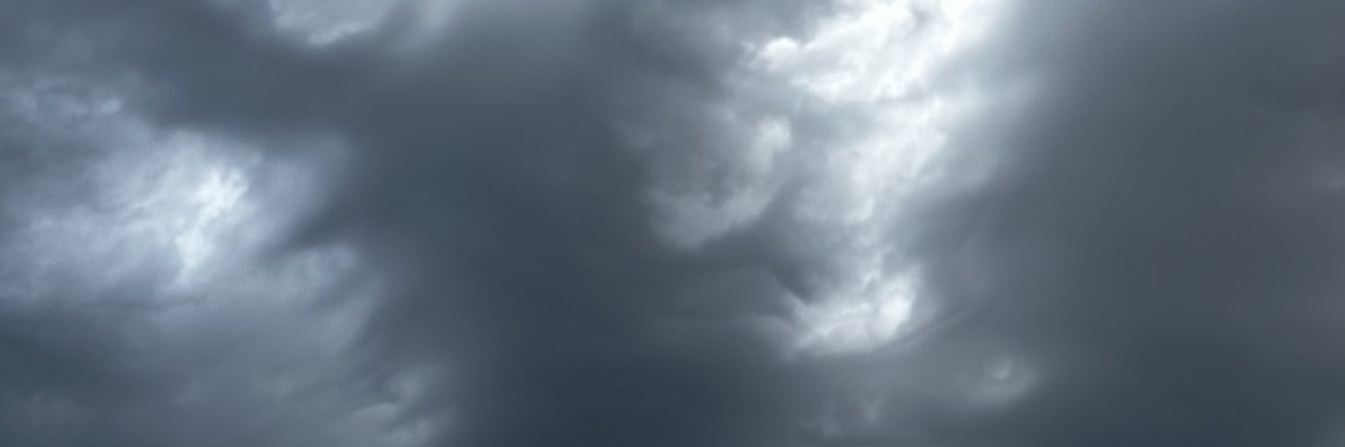 sophie banner