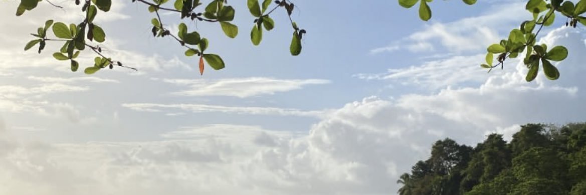 KathiieQ's profile banner image