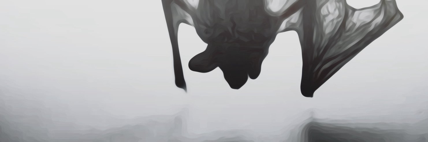 DoIOwnDisorder's profile banner image