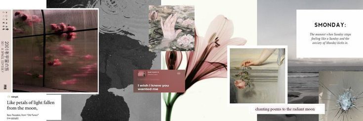 Amélie ♥︎ banner