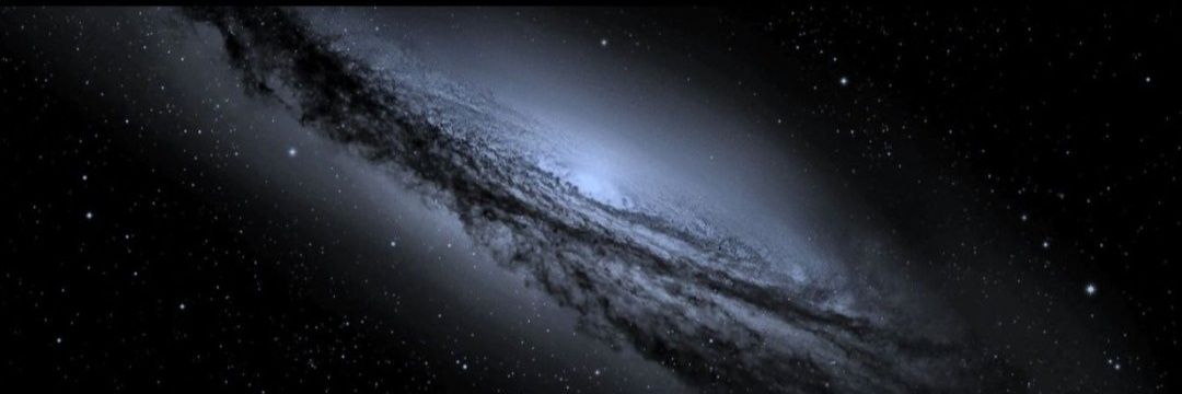 Pulbiber_1907's profile banner image
