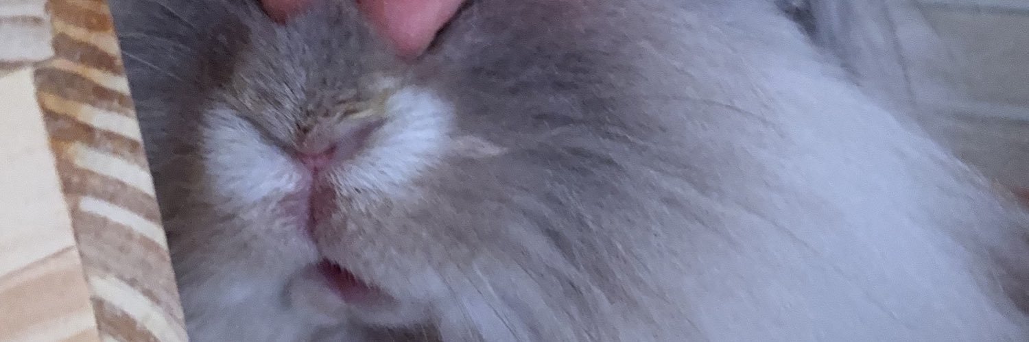 Natumib3's profile banner image