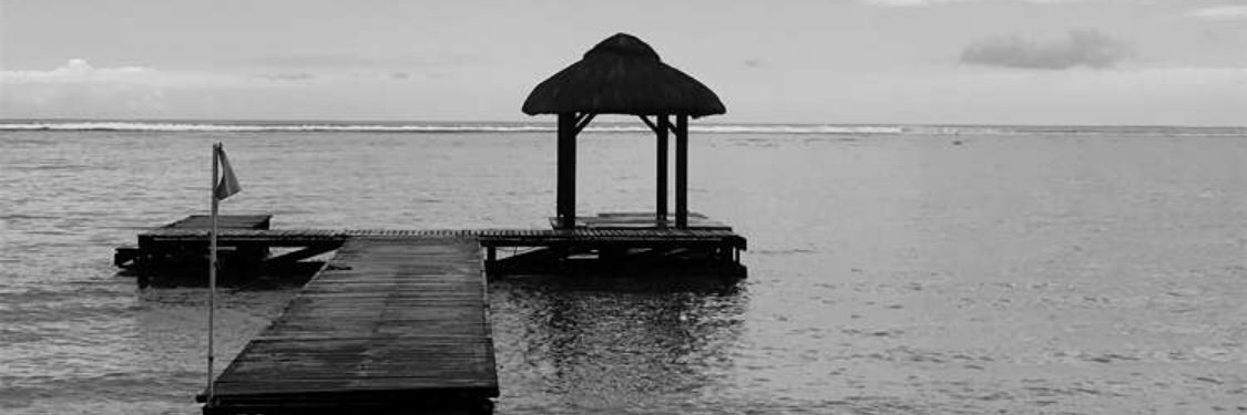 dena_alamoudi's profile banner image
