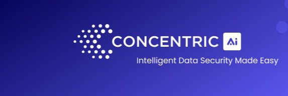 Concentric AI banner