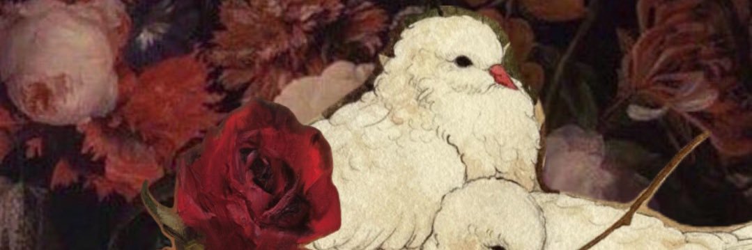 abhr1a's profile banner image