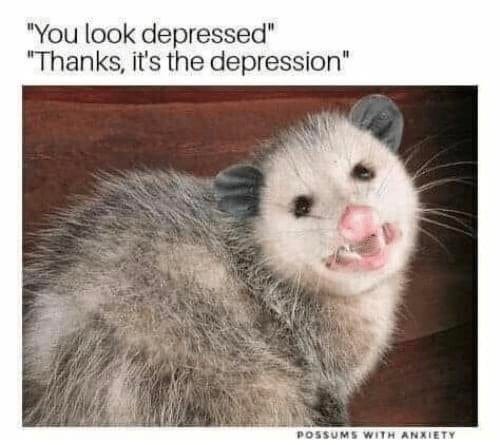MedicOpossum banner
