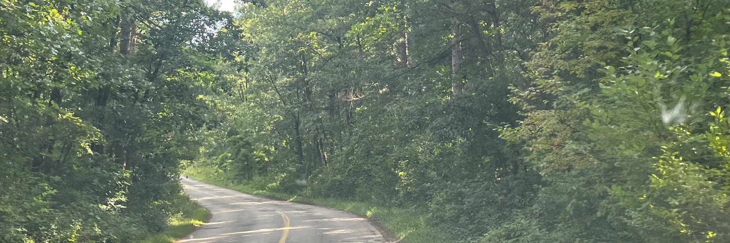 carriec96's profile banner image