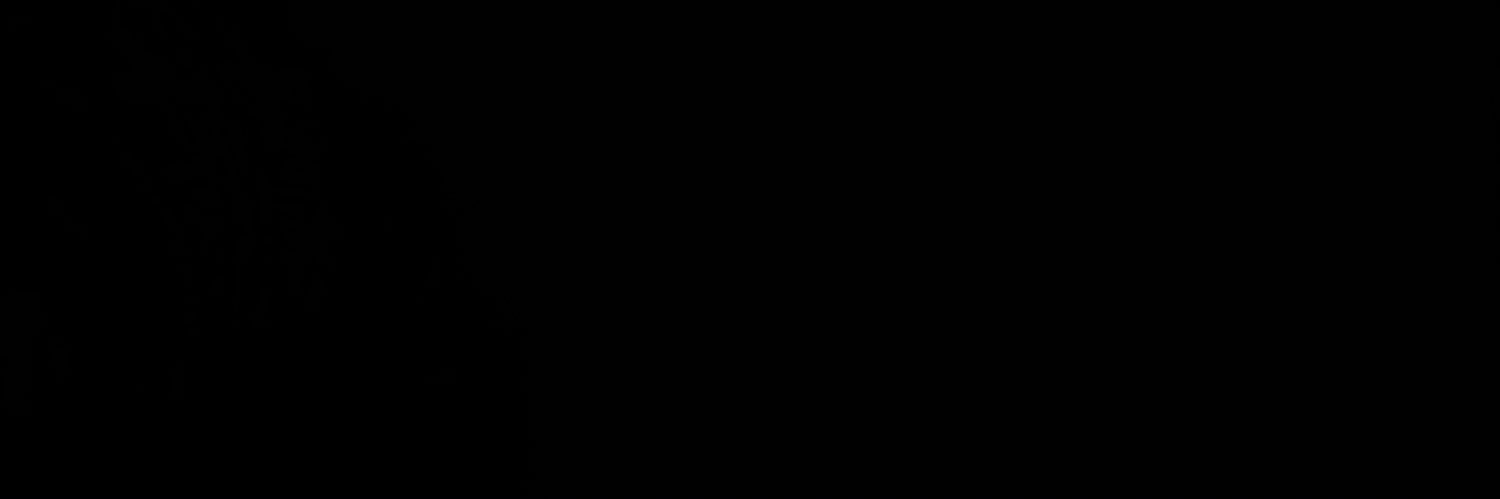 _victorpazz's profile banner image