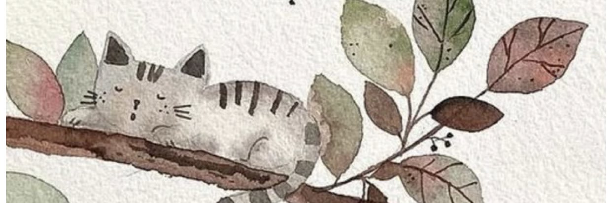 Daisyfriday banner