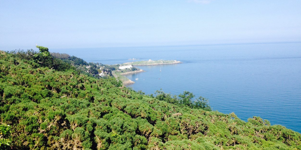 Colm O'Reilly banner