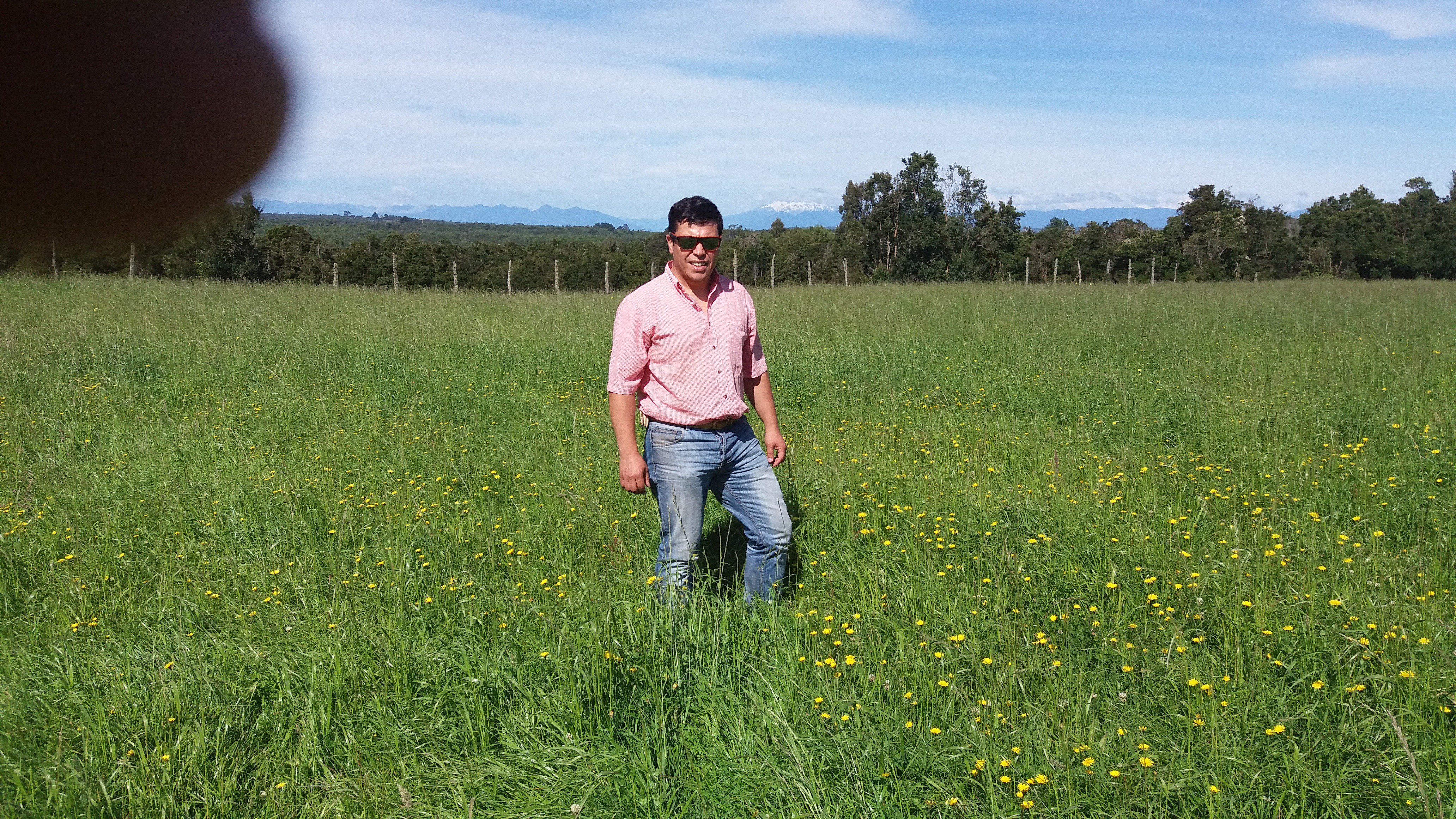 MALAMANSADO's profile banner image