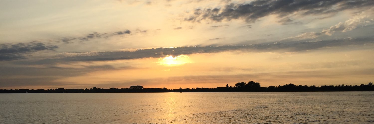 overvliet's profile banner image