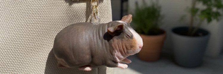 Webモルモット | 自社商材マーケター banner