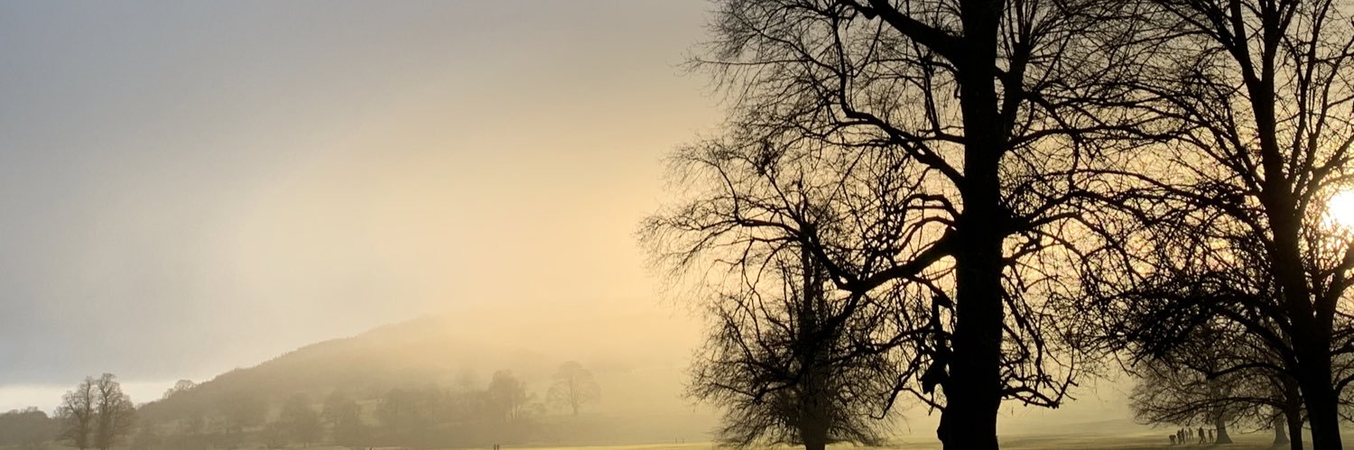 vlel's profile banner image