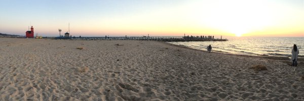 AJGallPhD Profile Banner