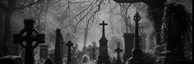 flins.⋆༺☾༻⛧🕯 banner