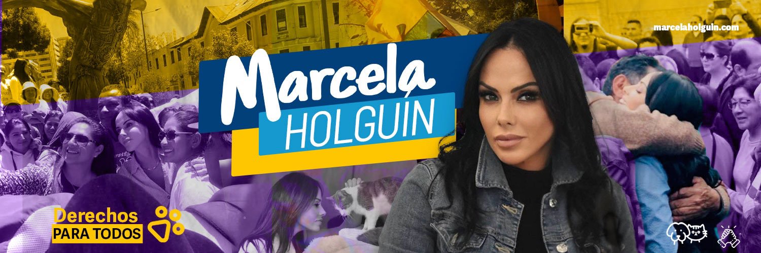 marcelaholguin's profile banner image