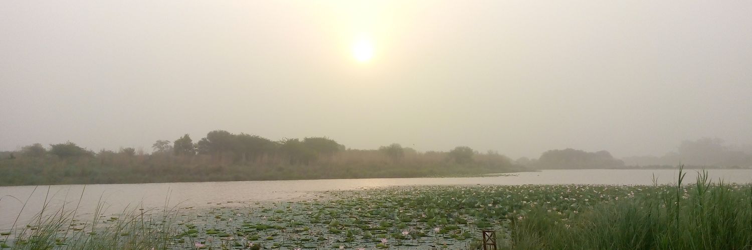 thakurmohan's profile banner image