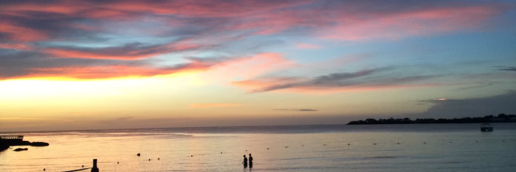 Geriwilliamson's profile banner image