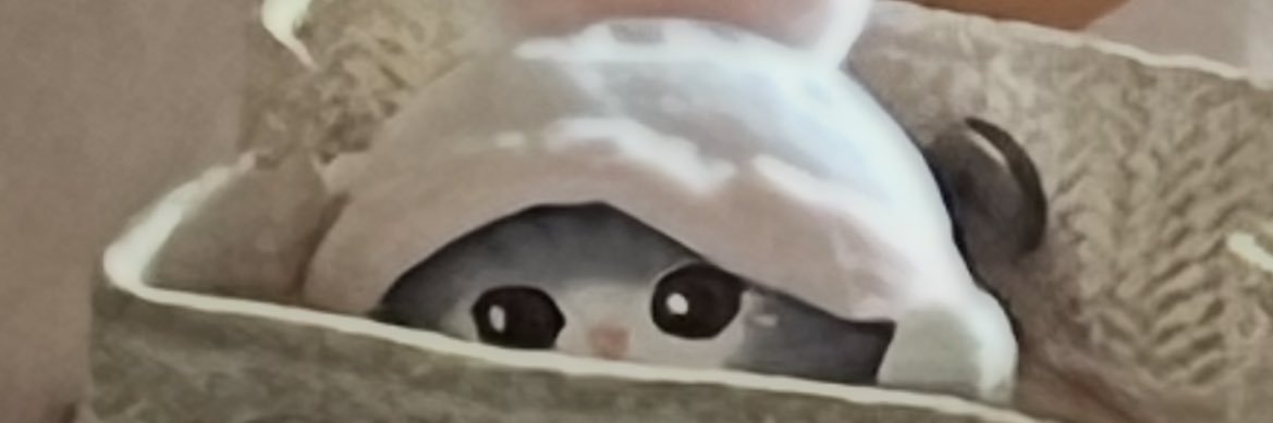 iCutecats's profile banner image