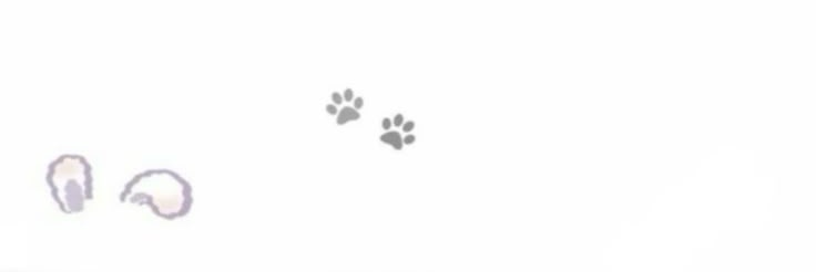 seya ݁ Ი𐑼⋆ banner