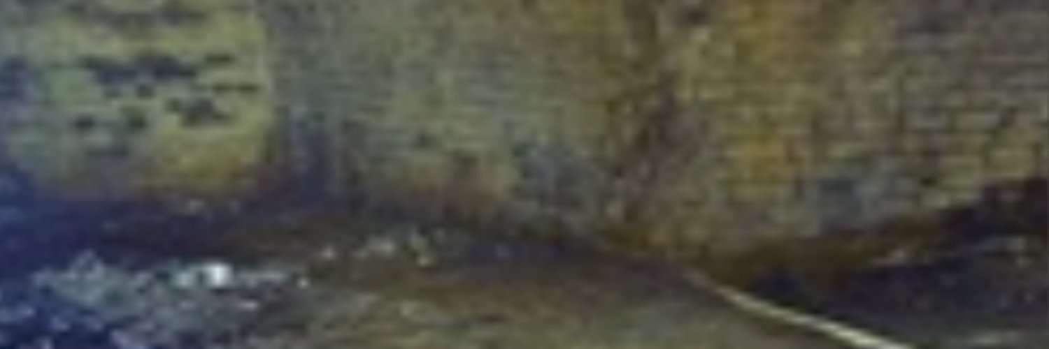 Skull Brute banner