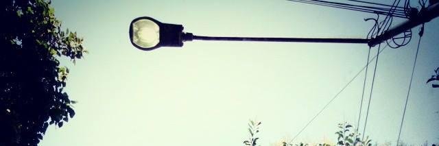 Rodrigo banner