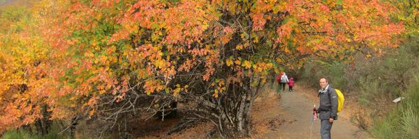 RBarrasa Profile Banner