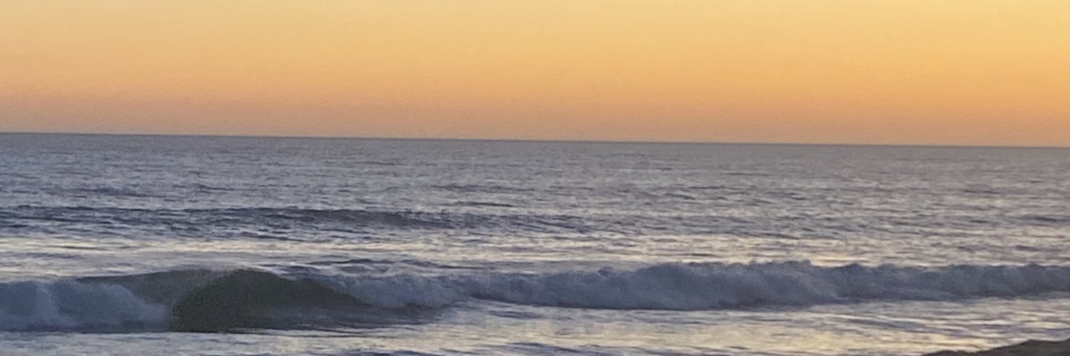 barbarabritog's profile banner image