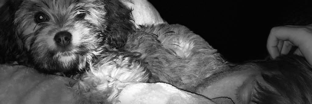 William_Tyler_V's profile banner image