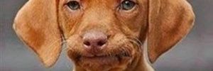 SandyBailey's profile banner image