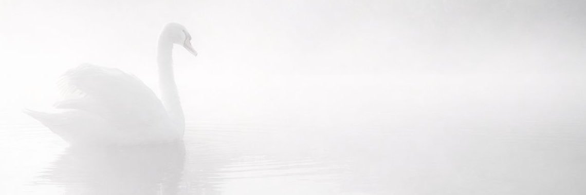 eilt25's profile banner image