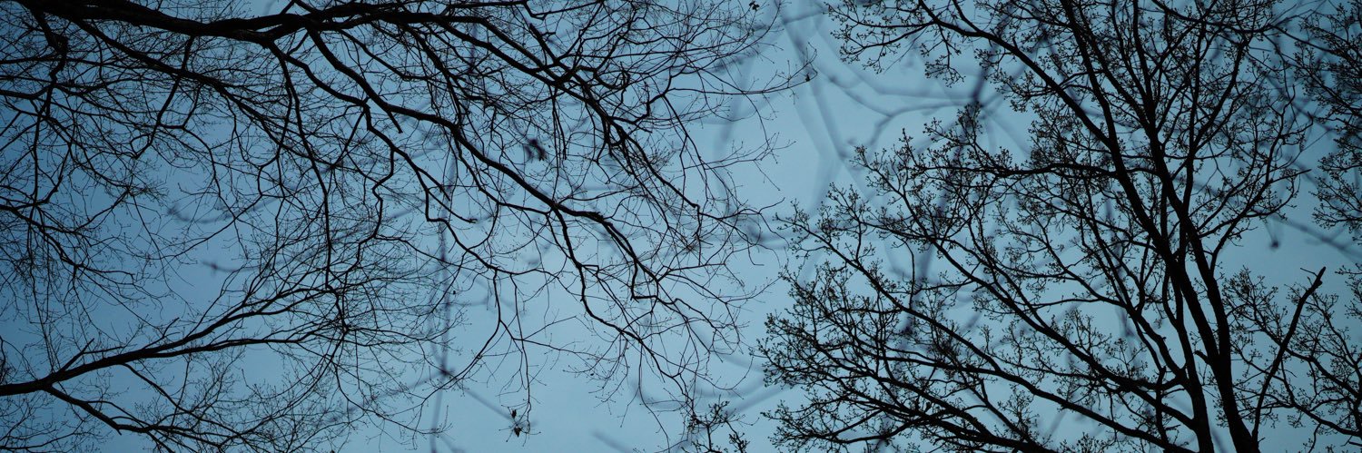 ft banner